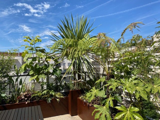 desouche jardins et parcs positionnement